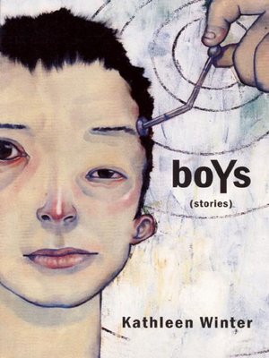 cover image of boYs